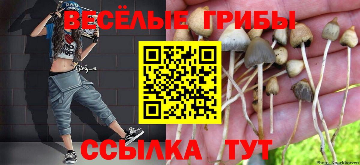 Псилоцибиновые грибы Cubensis  Вход с VPN  Магнитогорск 